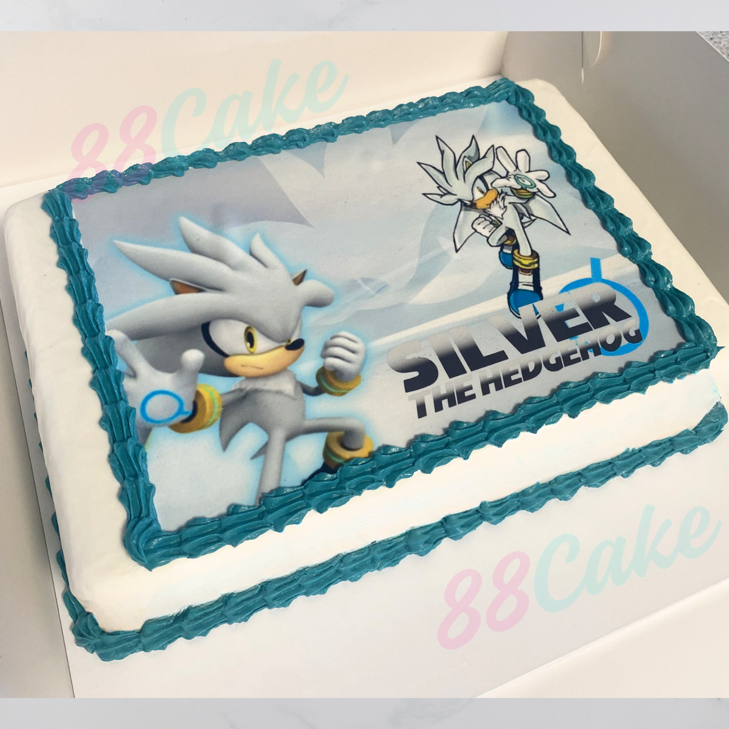 Silver Sonic Cake